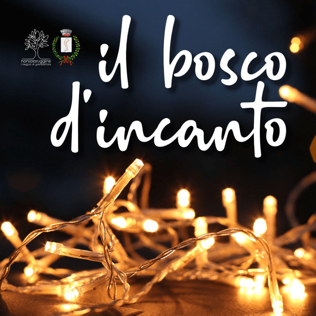 Il bosco d’incanto