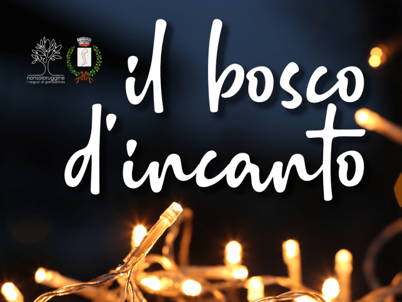 il bosco d’incanto
