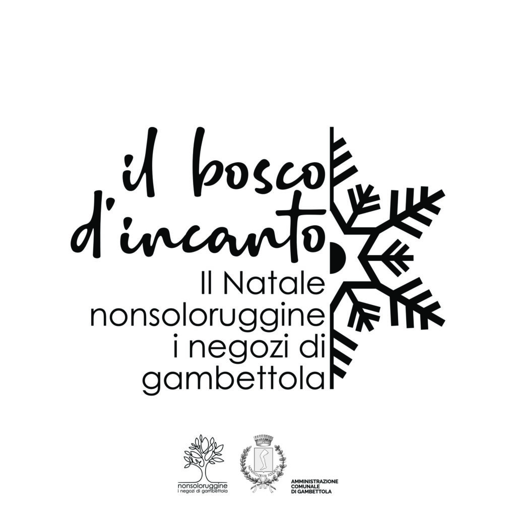 Il bosco d’incanto