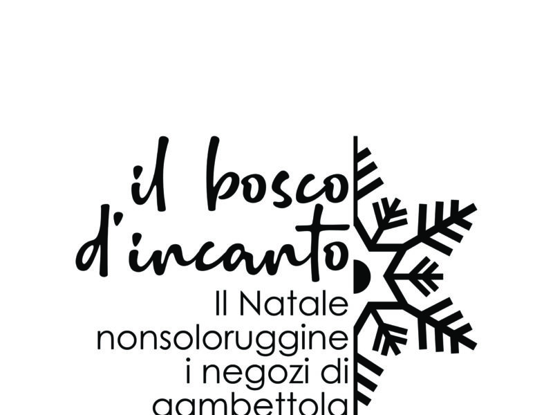 Il bosco d’incanto