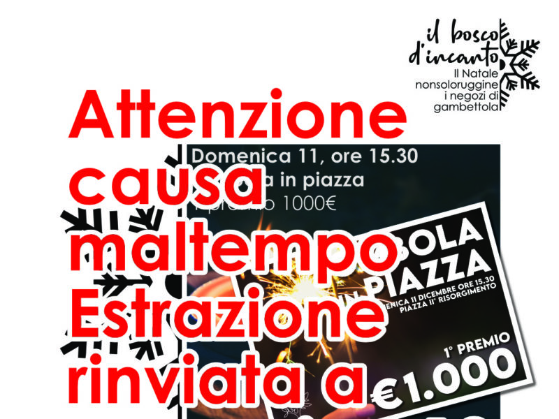 Il bosco d’incanto