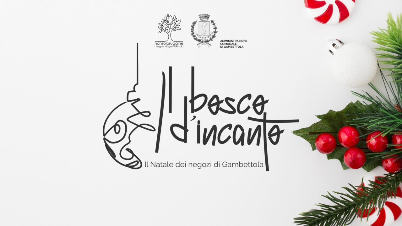 Il bosco d’incanto