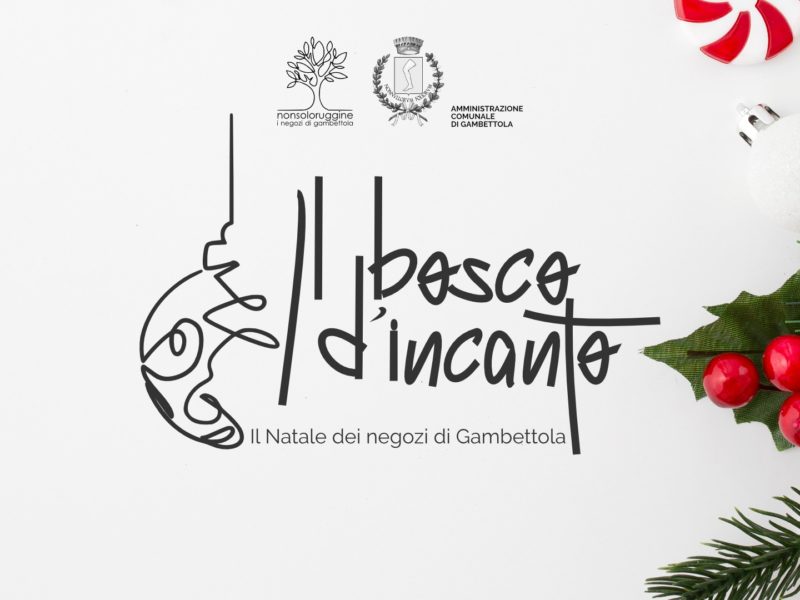 Il bosco d’incanto