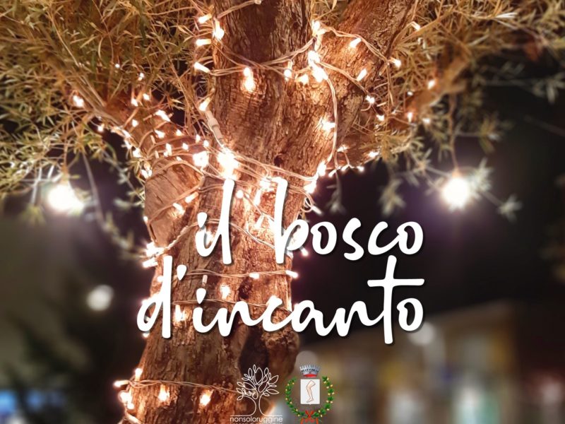 Gambettola si illumina